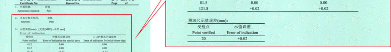长度麻豆视频免费版证书报告结果页