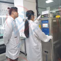 严格把控麻豆视频免费版精度图片